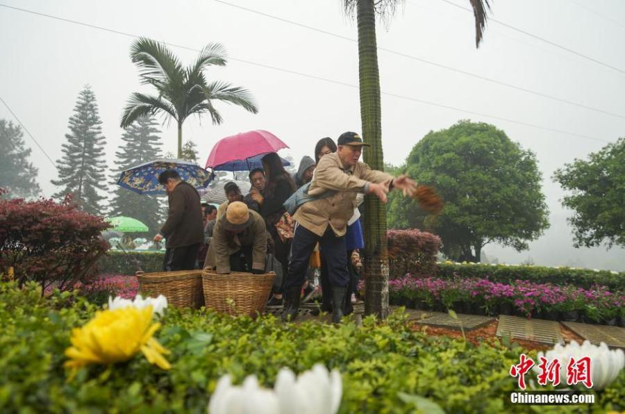 Held in Guangxi was buried more than 10 square meters to bury deceased 111